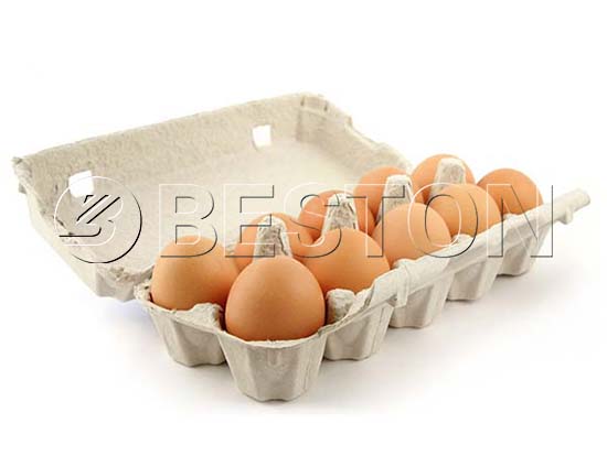 Egg Carton