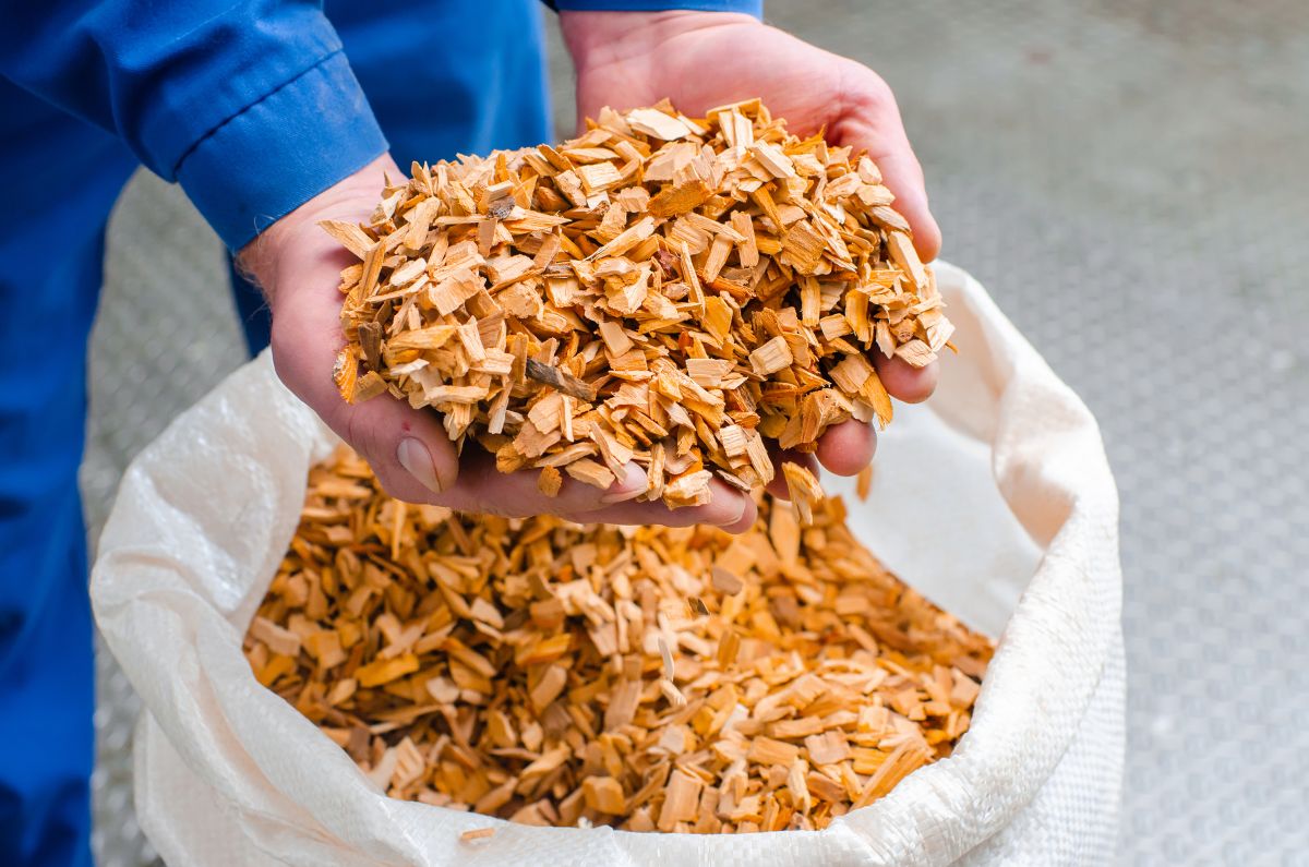 waste wood recycling through biochar pyrolysis